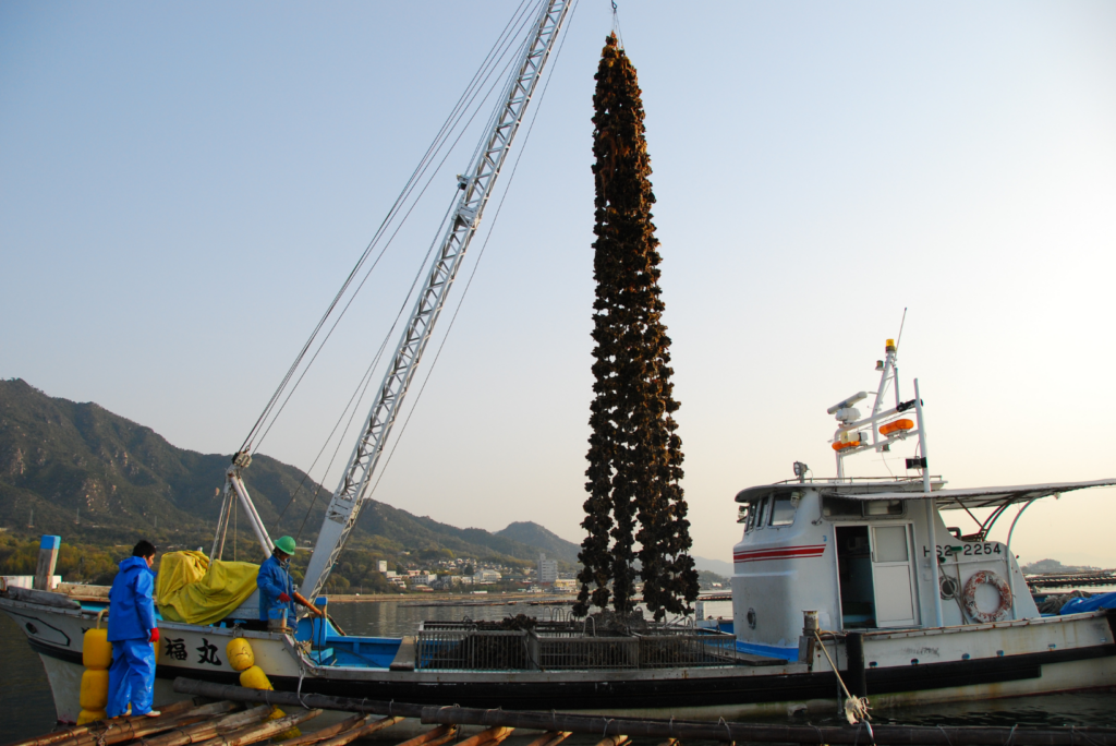 生産者直送・鮮度重視という変わらないこだわり