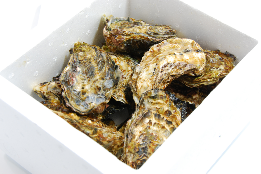 日々の選別・品質管理・衛生管理への取り組み